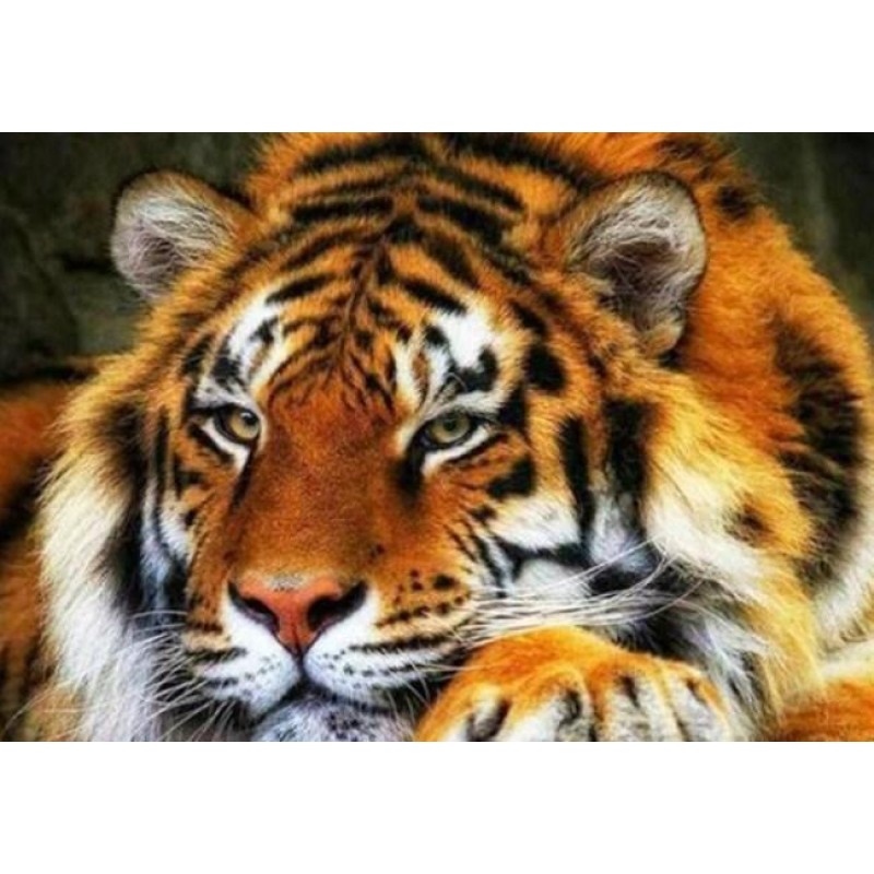 Adorable Tiger Diamo...
