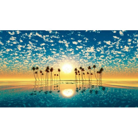 Orange Sunset Clouds In Sky & Palm Trees