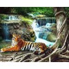 Tiger Resting by Waterfall