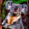 Cute Baby Koala - Paint by Diamonds
