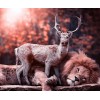 Deer & Lion - Paint by Diamonds Kit