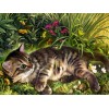 Garden Cat - Paint by Diamonds