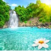 Green Trees & Beautiful Waterfall