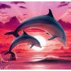 Dolphins Pair Painting Kit