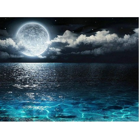 Night View Landscape