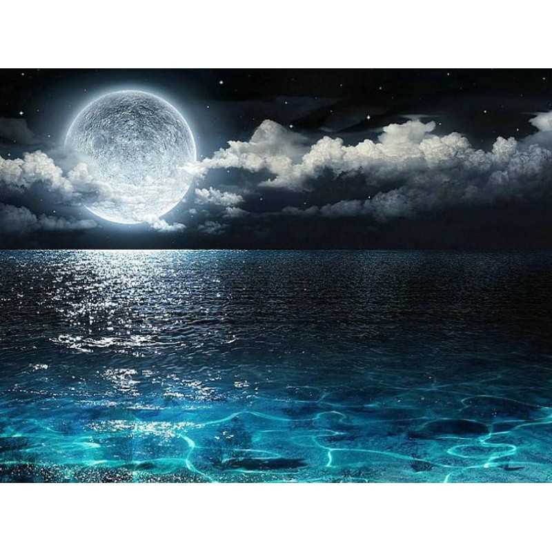 Night View Landscape