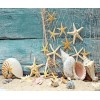 Sea Shells Diamond Painting Kit