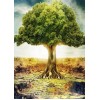 Lone Tree Painting Kit