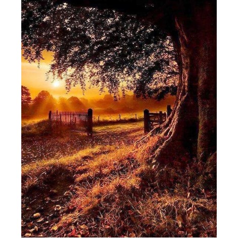 Autumn Evening Landscape