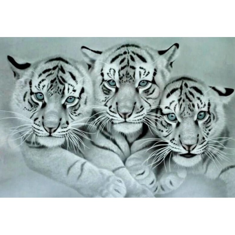 Three White Tigers