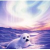 White Seal DIY Painting Kit