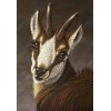 Beautiful Goat - Paint by Diamonds