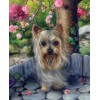 Cute Yorkshire Terrier Diamond Painting