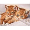 Ginger Cat Pair - Diamond Painting Kit