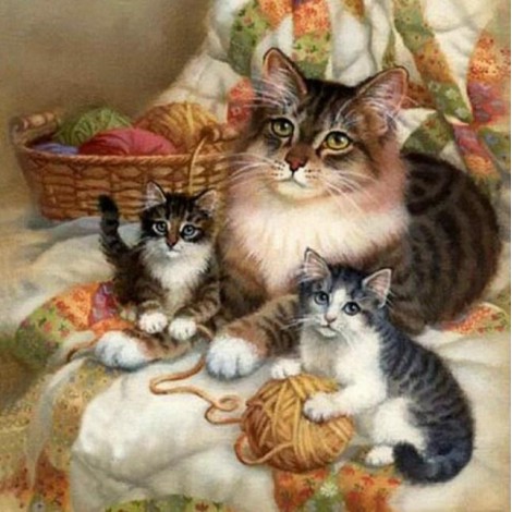Mother Cat & Baby Kittens