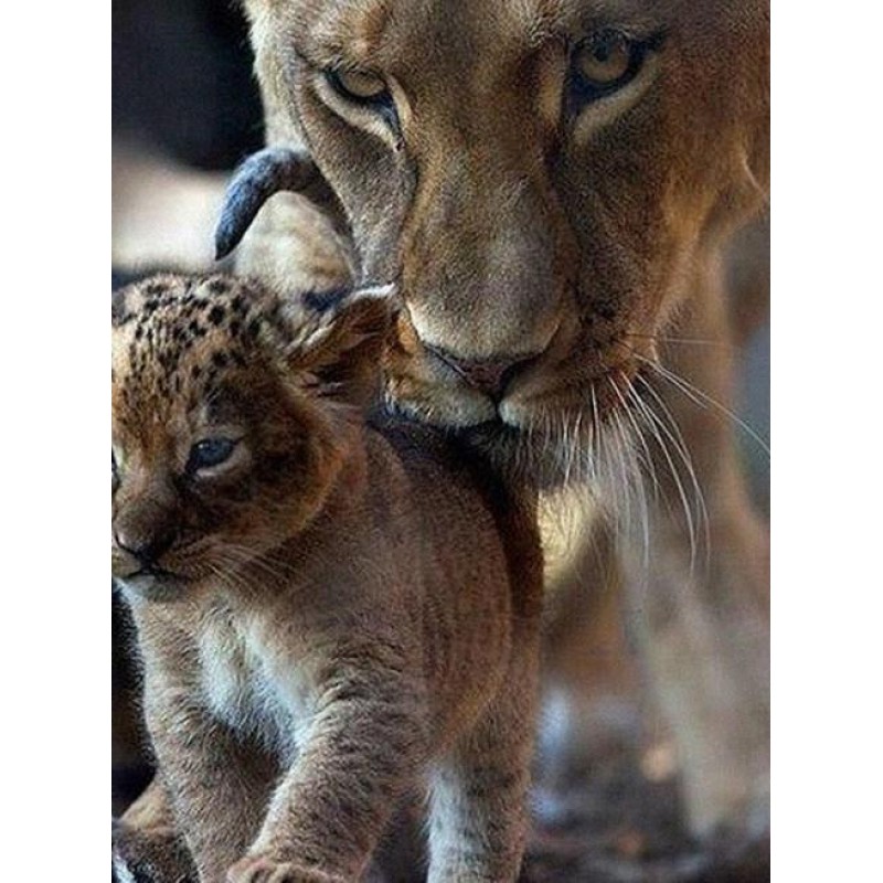 Mother & Baby Li...