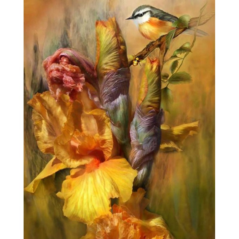 Summer Wonders by Ca...