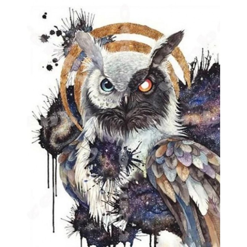 Yin Yang Owl - Paint...