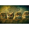 Funny Owl Basket Diamond Painting
