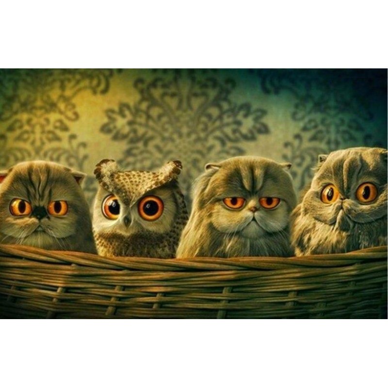 Funny Owl Basket Dia...