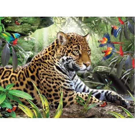 Leopard & African Parrots