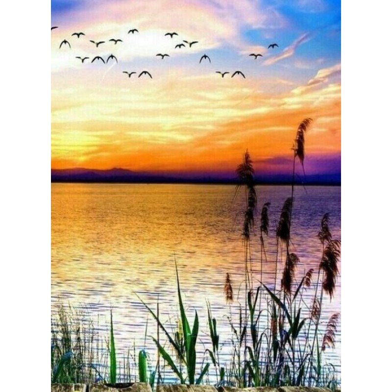 Birds Coming Back to...