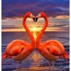 Flamingos Making Heart Shape