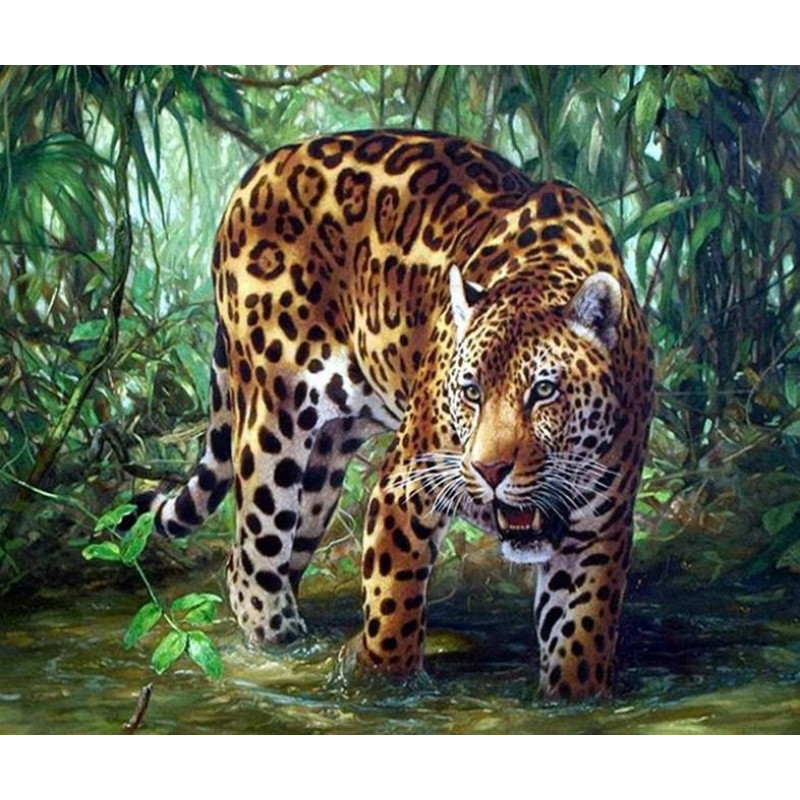 Leopard in the Fores...