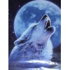 Wolf Howling at Night