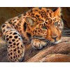 Jaguar Diamond Painting