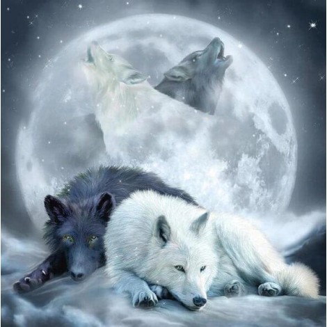 Black & White Wolves