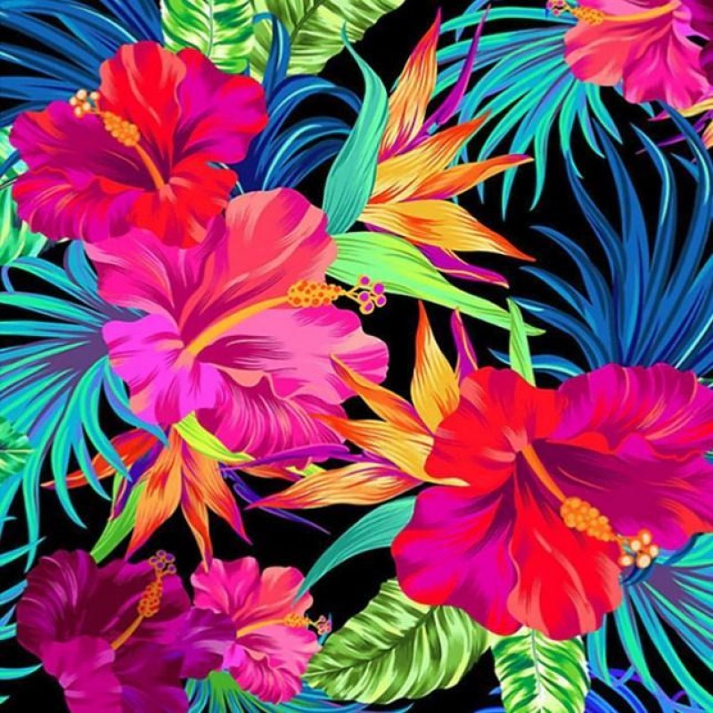 Hibiscus Flowers - D...