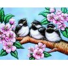 Birds Babies & Flowers