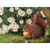 Daisy Flowers & Squirrels Diamond Painting