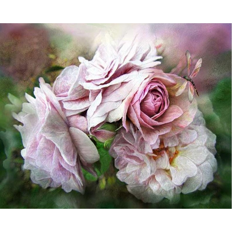 Miracle of a Rose by...