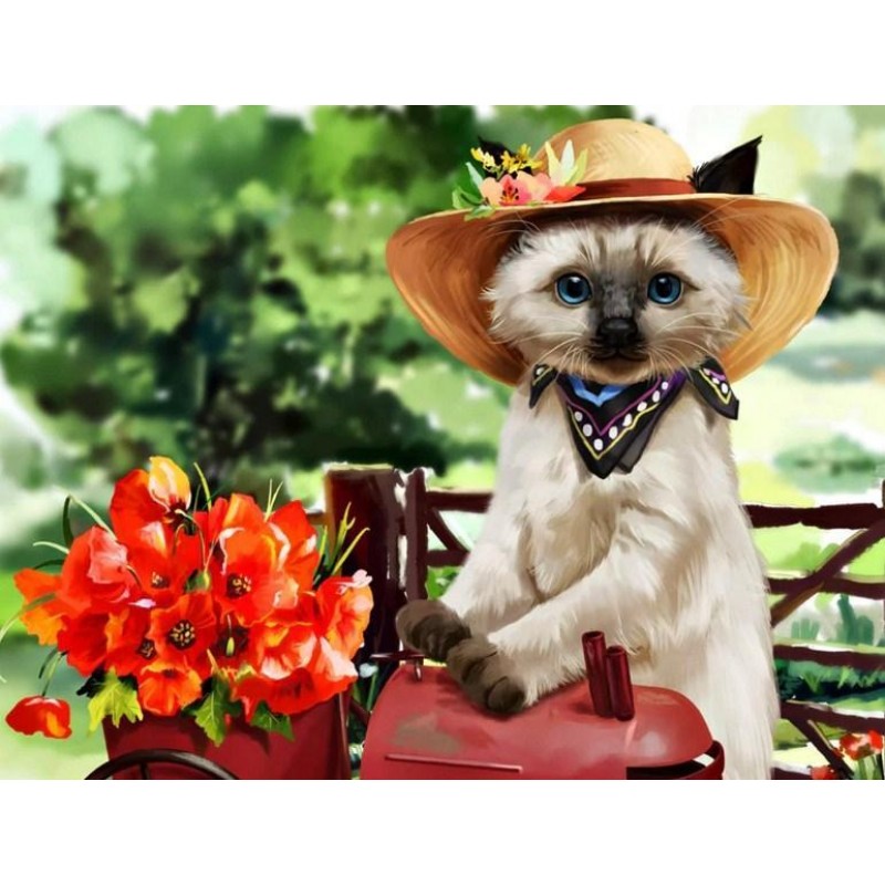 Miss Kitty Wearing H...