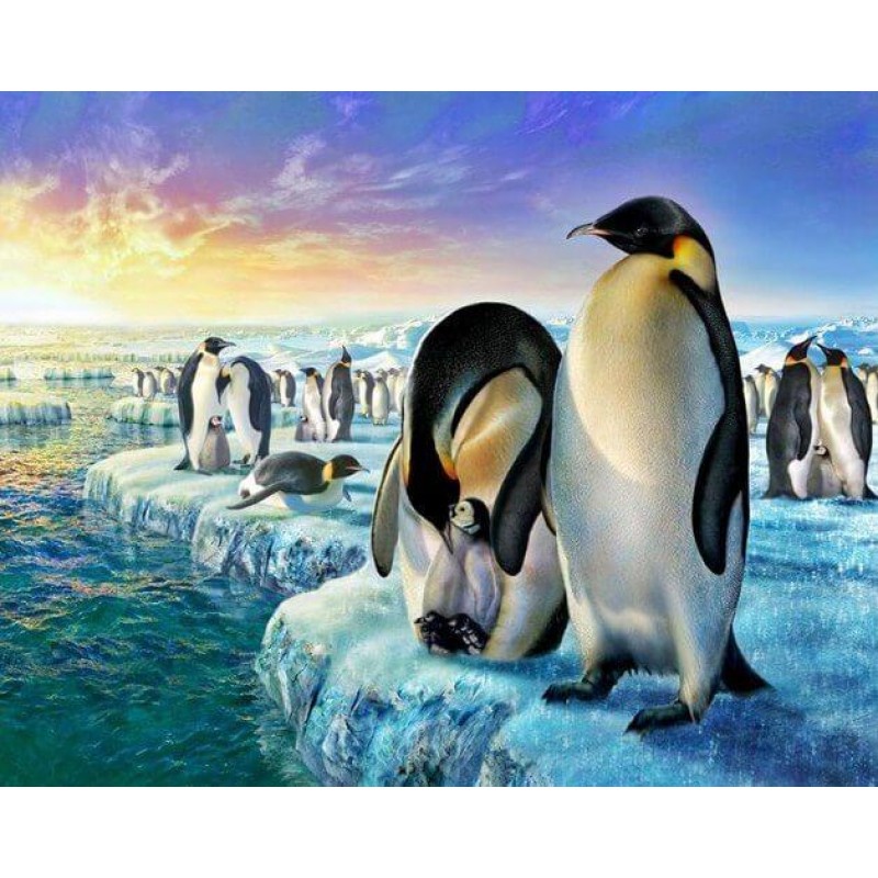 Penguins Family in I...