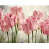 Tulips 3D Diamond Painting Kit