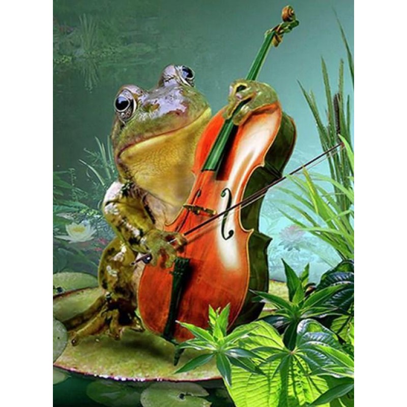 Frog Playing Guitar