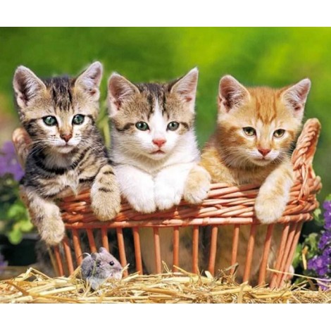 Three Lovely Kittens - Paint with Diamonds