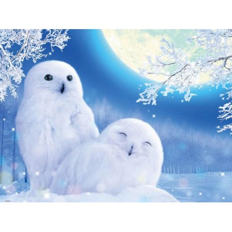 Cute White Owls Pair