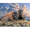 Lone Bison Diamond Painting Kit