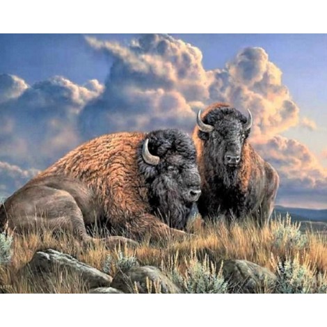 Lone Bison Diamond Painting Kit