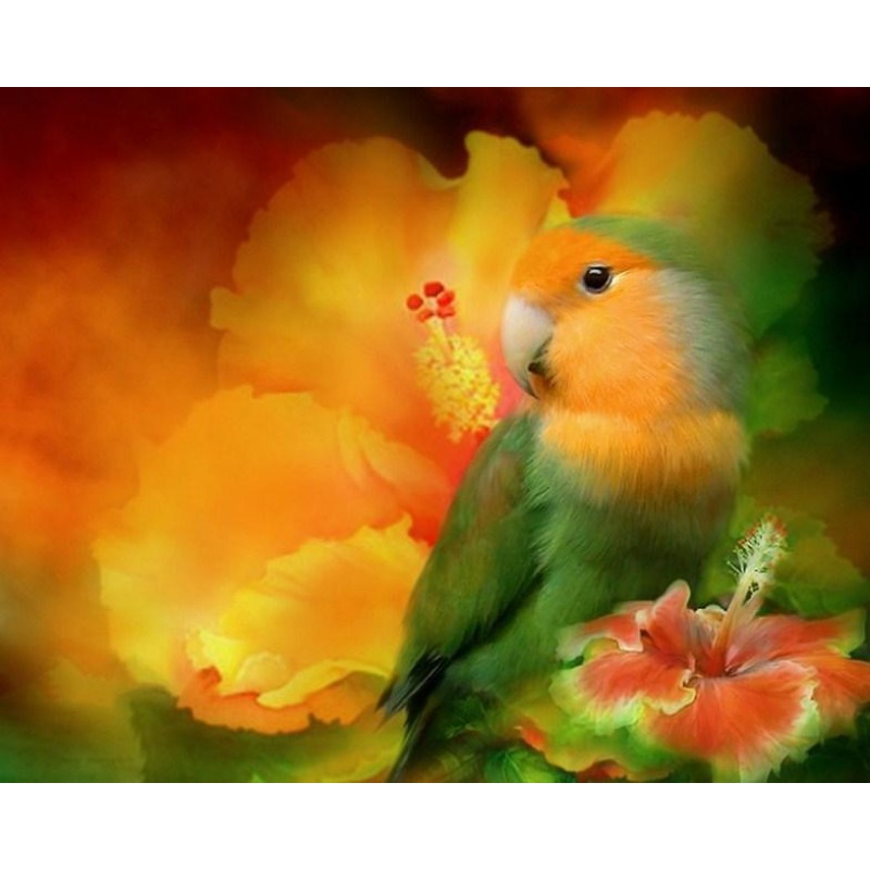 Love Bird - Paint by...