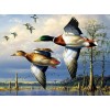 Flying Ducks - Paint with Diamonds