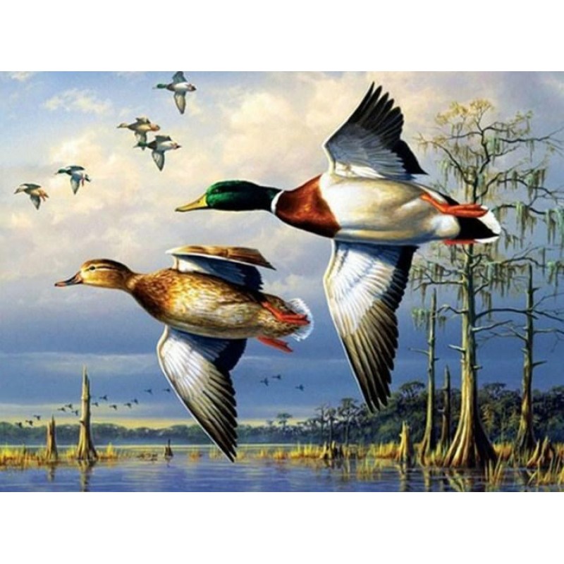 Flying Ducks - Paint...