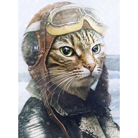 Pilot Cat Diamond Painting Kit