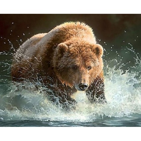 Bear Running in the Water