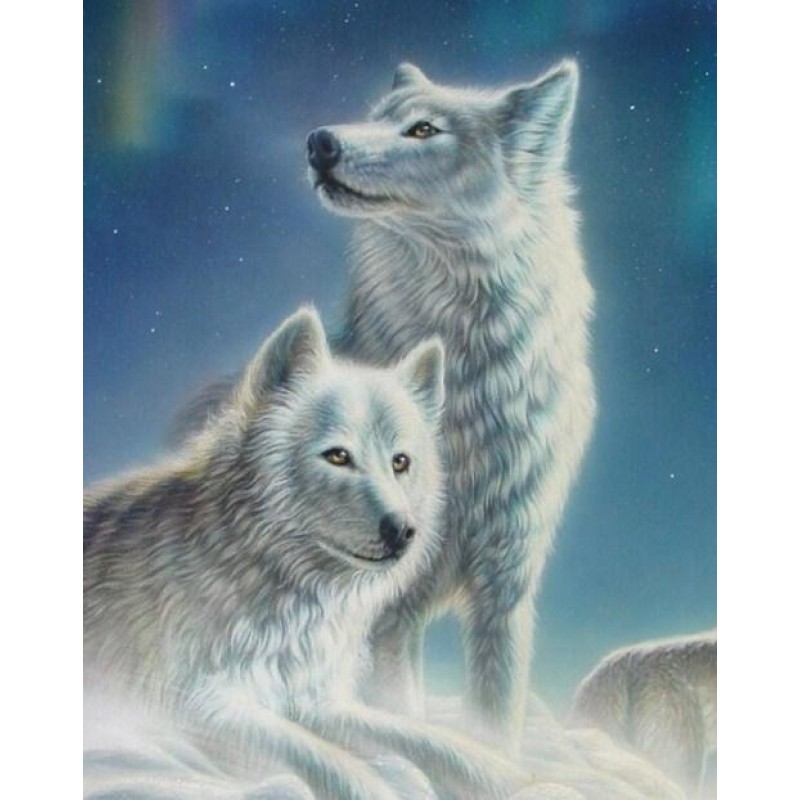 White Wolves Pair Di...