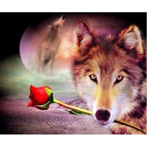 Wolf with Red Rose